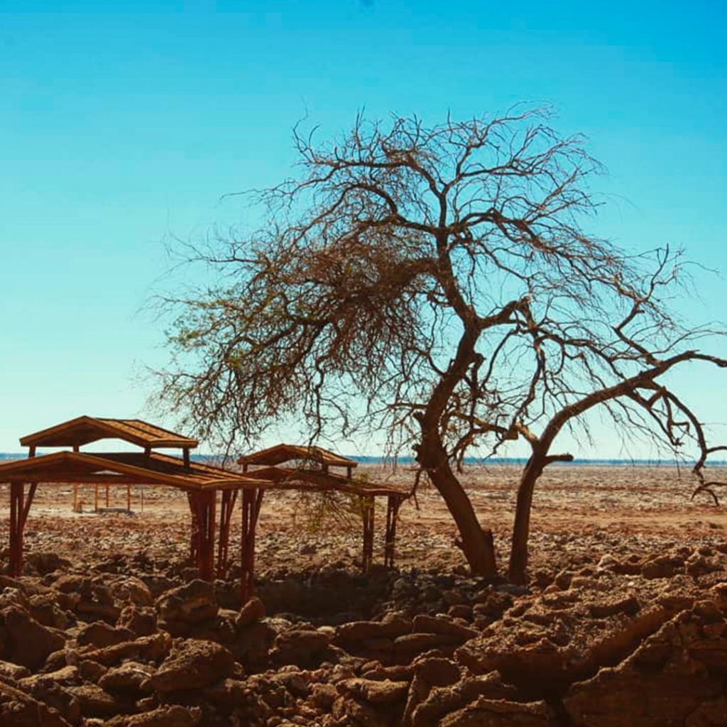 Taller Artesanal Pampa del Tamarugal